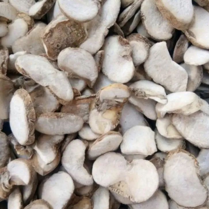 zhebeimu2.jpg